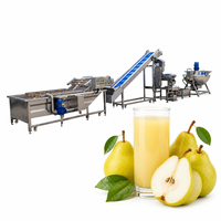 Volledig automatische complete fruit sap productielijn met pasteurisatiesysteem voor sapverwerking