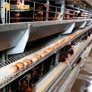 Galinha da fazenda automática de aves, galinha - Product Image 3