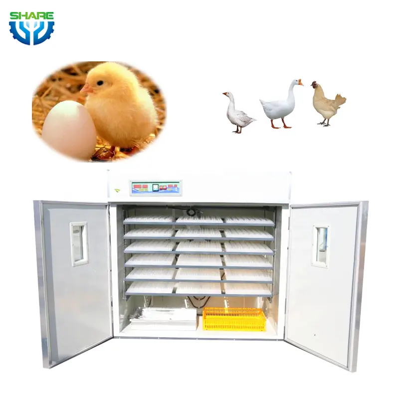 Industrieller Hühnerei-Solar-Inkubator zum Schlüpfen von Eiern