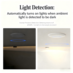 <span class=keywords><strong>Sensor</strong></span> kehadiran manusia Mmwave Radar-deteksi hunian rumah pintar & Hitung orang untuk kamar tidur/ruang tamu/ruang makan - Product Image 4