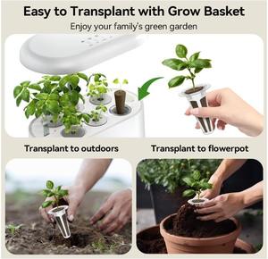 DIY Herb Garden Starter Kit 9 piantine di piante e Bouquet profumato per uso domestico - Product Image 5