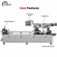 Machine d'emballage sous blister automatique à haute efficacité HAOYUAN HY-420S, machine de formage et de scellage de blister en aluminium