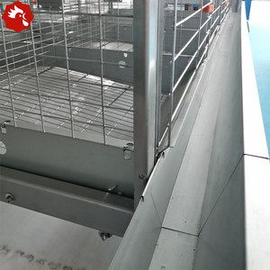 Fully Automated H Type Laying <strong>Hen</strong> Battery Cages 10000 Capacity Equipment for Ghana Zambia - Product Image 6