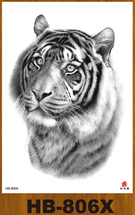 HB-806X