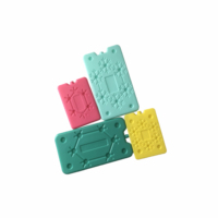 Packs de glace en plastique dur réutilisables personnalisés Boîtes à glace en gel pour congélateur Briques de glace