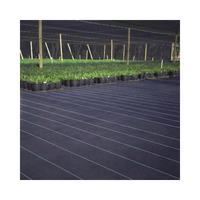 Toile paysagère agricole écologique biodégradable, bâche anti-mauvaises herbes, tissu de jardin 100% PP/PE vierge, anti-UV, découpable