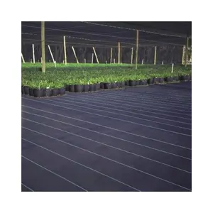 Agriculture Landscape Fabric Biodegradable Plant Ground Cover Weed Mat Garden Fabric Plastic PP Anti UV Weed Agro Weed Control