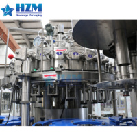 Línea de Producción de Agua Carbonatada en Oferta/Máquina de Llenado de Botellas de Vidrio para Bebidas/Máquina Mezcladora Carbonatadora de Agua con Gas