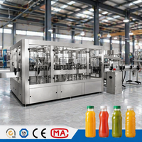 Volledig automatische sapafvulmachine, complete turnkey drankenproductielijn voor drankenfabrieken