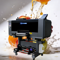 ATUE Imprimante DTF Rouleau à Rouleau 30cm en Gros, Nouvelle Encre UV, Garantie 1 An, Machine d'Impression Métal Trois Têtes Epson TPU I1600-U1
