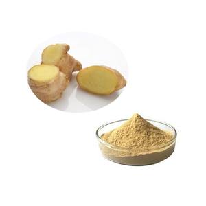 مسحوق خلاصة الزنجبيل عالي الجودة بمسحوق خلاصة جذور الزنجبيل - Product Image 1