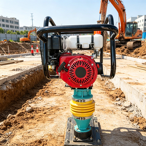 Compattatore con Motore <span class=keywords><strong>da</strong></span> Tre Kilowatt e Piastra <span class=keywords><strong>da</strong></span> 300x330 mm per Terreno e Substrato - Product Image 5