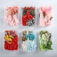 Kit DIY de fleurs séchées et préservées de gypsophile colorées pour cadeaux d'anniversaire, de festivals et de formation en artisanat DIY