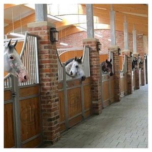 Soins aux chevaux Amateurs de chevaux Bestseller dans la plupart des villes européennes Vendu à bas prix mais avec une excellente qualité Cheval à vendre - Product Image 1