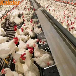 Agujeros de nido de huevos manuales de gran calidad Kaleter para gallinero avícola - Product Image 2