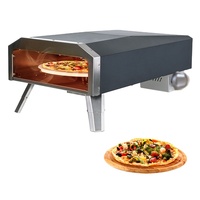 Nouveau four à pizza portable commercial au gaz de 12 pouces avec pierre rotative