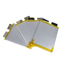 Baterai Lithium-Ion LiFePO4 Soft-Pack 32V 50A untuk Kendaraan Listrik