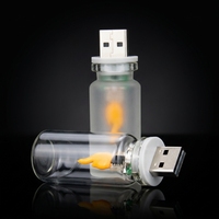 Lampu LED Mini USB5V Modern untuk Dekorasi Rumah, Dilengkapi Remote Control, Cahaya Putih Hangat, Lampu Api LED Kaca, Dekorasi Suasana Liburan