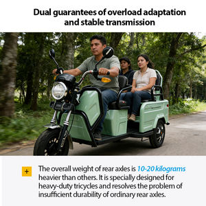 Triciclo Eléctrico Motorizado DVIP de 60V, Tuk Tuk de <span class=keywords><strong>Tres</strong></span> <span class=keywords><strong>Ruedas</strong></span> para Adultos, Diseño <span class=keywords><strong>Plegable</strong></span>, Carrocería Abierta, Uso para Pasajeros, Color Personalizado, 251-350W - Product Image 6