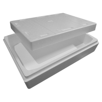 Boîte isotherme blanche en EPS écologique européenne, conteneur recyclable pour chaîne du froid, emballage léger, antibactérien, économique