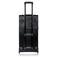 Étui de Train roulant en aluminium pour artistes maquilleurs-valise de chariot-chat noir curieux