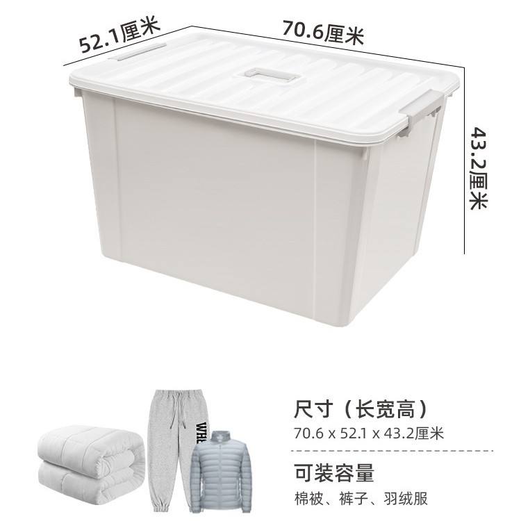 X-6320 Blanco Niebla Matinal - 55L