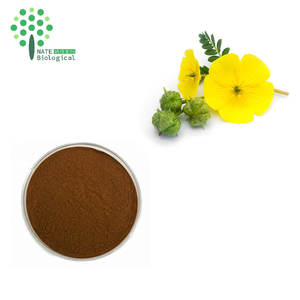 ISO認証取得済み野生トゲソラマメ種子エキス粉末 サポニン90% ドラム包装 - Product Image 5