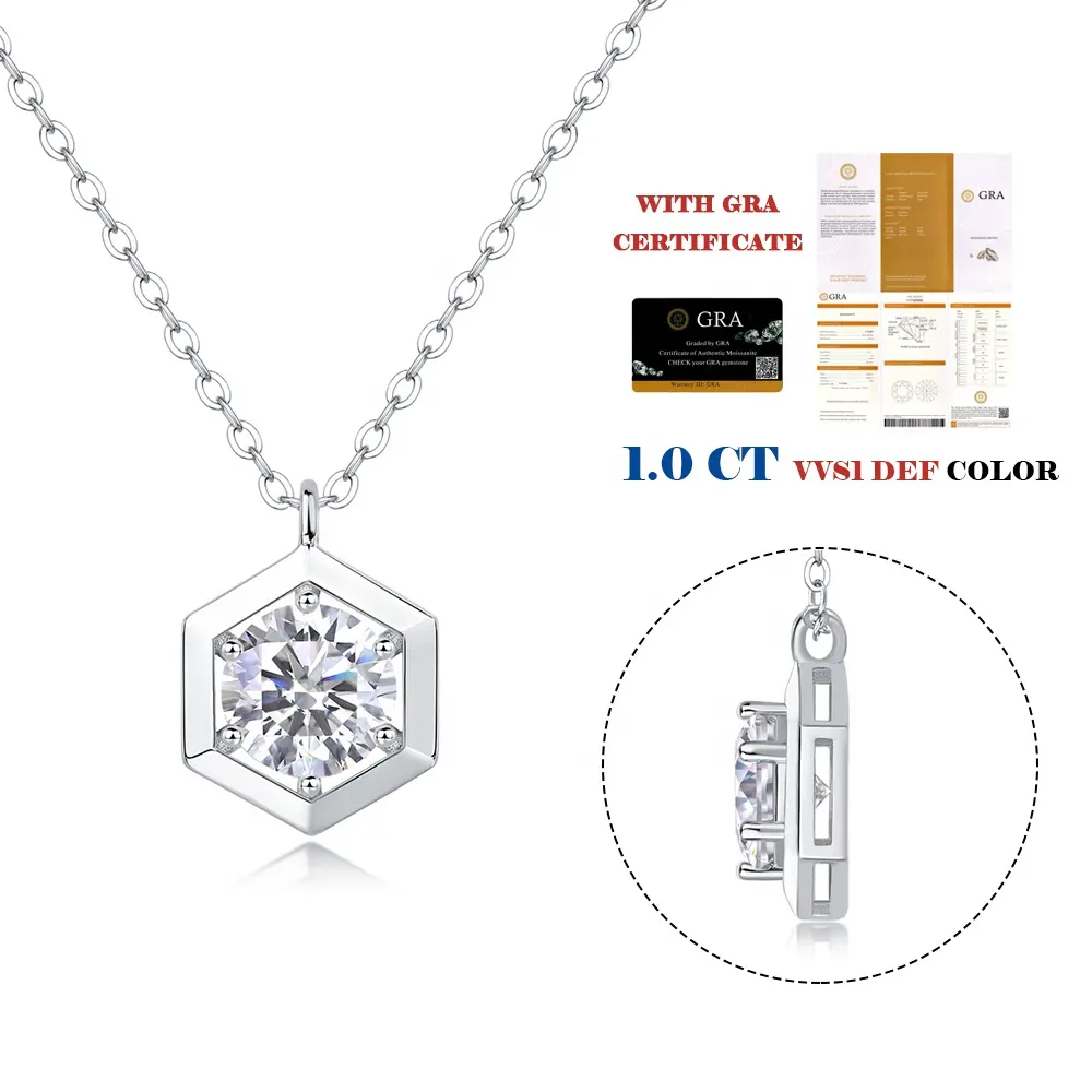 Custom Moissanite Charm Chain White Gold 925 Sterling Silver D Color Ideal Cut Diamond 1CT Moissanite Pendant Necklace for Women