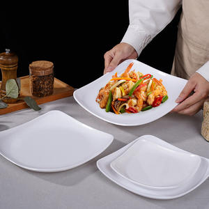 Platos de cena de melamina irrompibles de grado alimenticio de alta calidad <span class=keywords><strong>Buffet</strong></span> Catering Hotel juego de platos de <span class=keywords><strong>sushi</strong></span> blanco para restaurante - Product Image 2