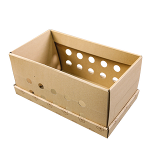 Boîte à <span class=keywords><strong>semis</strong></span> en kraft résistante à la compression à motif floral, à bas prix, avec zone <span class=keywords><strong>d</strong></span>'étiquetage vierge à pois pour la livraison de plantes succulentes en pépinière - Product Image 6
