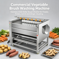 Machine à laver à brosse à jet d'eau haute pression qui élimine efficacement la boue des surfaces des gingembre et des pommes de terre