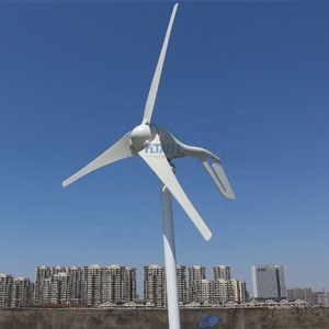 Générateur éolien horizontal 600W pour usage domestique, à faible vitesse de vent, 12V 24V avec contrôleur, fabriqué en Chine - Product Image 4