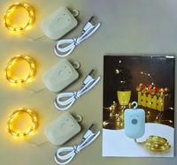 Lampu String Kawat Tembaga Isi Ulang Model Tombol 8 Mode Timer Pengisian Daya Tipe C Lampu Peri untuk Dekorasi Suasana Liburan Natal
