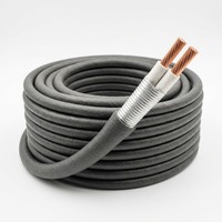 Câble électrique flexible isolé minéral résistant au feu BBTRZ en cuivre à 2 conducteurs avec gaine LSOH, alimentation industrielle IEC 0,6/1 kV