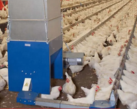 Chaîne de transport d'aliments pour l'industrie avicole agricole avec pignon de fixation