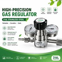 Régulateur de pression de gaz à double étage SS316L