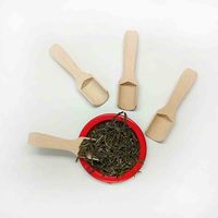 Scoops Cuillères pour Bocaux Sels de Bain Bonbons Grain de Café Mini Cuillère en Bambou Polyvalente Cuillères en Bois pour Sels de Bain