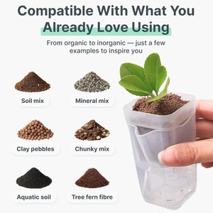 Maceta transparente para plantas, maceta con autorriego, orificios de drenaje, contenedor para propagación de plántulas, accesorios para el hogar y el jardín, 6,5 CM - Product Image 5