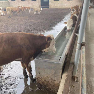 4 metri bevitore d'acqua animale da fattoria Anti congelamento mucca <span class=keywords><strong>abbeveratoio</strong></span> - Product Image 6