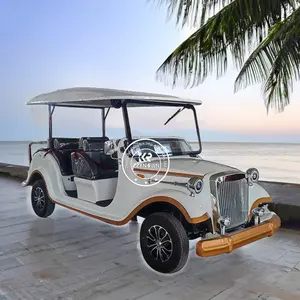 India Super Cool Sports Car Style Vintage Car Electric Sightseeing Bus Car