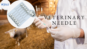 बकरियों के लिए पशु चिकित्सा सिरिंज सुई (14g15g17g18g20g22g) की प्रभावी आवश्यकता गुणवत्ता वाली धातु आपूर्ति के लिए विविध आकार - Product Image 4