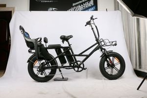Bicicleta Eléctrica EN 15194 de 1000 W con Doble Batería y Cesta para Reparto de Comida en China - Product Image 2