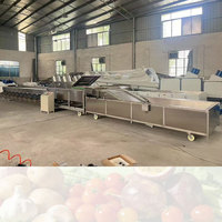 Hoogwaardige automatische fruit- en groentesorteermachine voor aardappelen, knoflook en uien, 304 roestvrij staal, fruitverwerkingsinstallatie