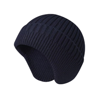 Bonnet d'hiver tricoté 100 % acrylique avec logo brodé personnalisé, motif lettres, chaud et tendance, en tissu à caractéristiques communes
