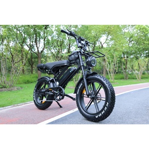 Zerogo 2025 Dropshipping V20 Pro Bicicleta Eléctrica de 250w con Cuadro de Acero, Bicicleta de Montaña con Llantas Gruesas de 20 Pulgadas, V20 Pro - Product Image 4