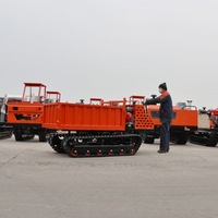 Machine de construction 5 tonnes 8 tonnes 10 tonnes Camion sur chenilles diesel Dumper