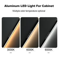 Profilé LED Encastré pour Ruban Lumineux à Découpe Libre, avec Rail en Aluminium Intégré, 12V 24V, Mini Lumière d'Armoire