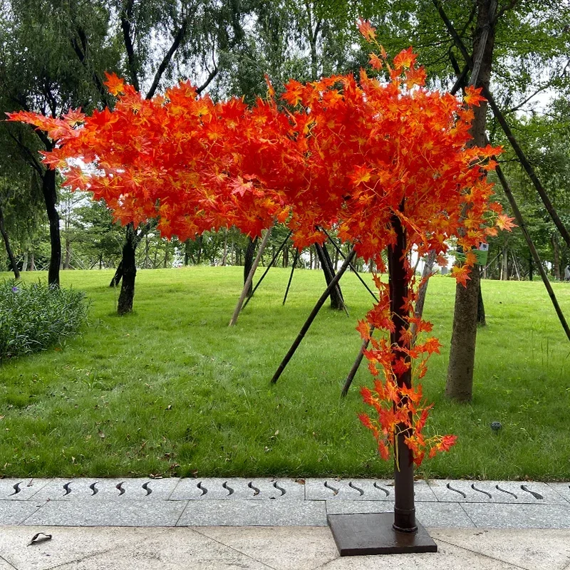 Cerisier rouge 01