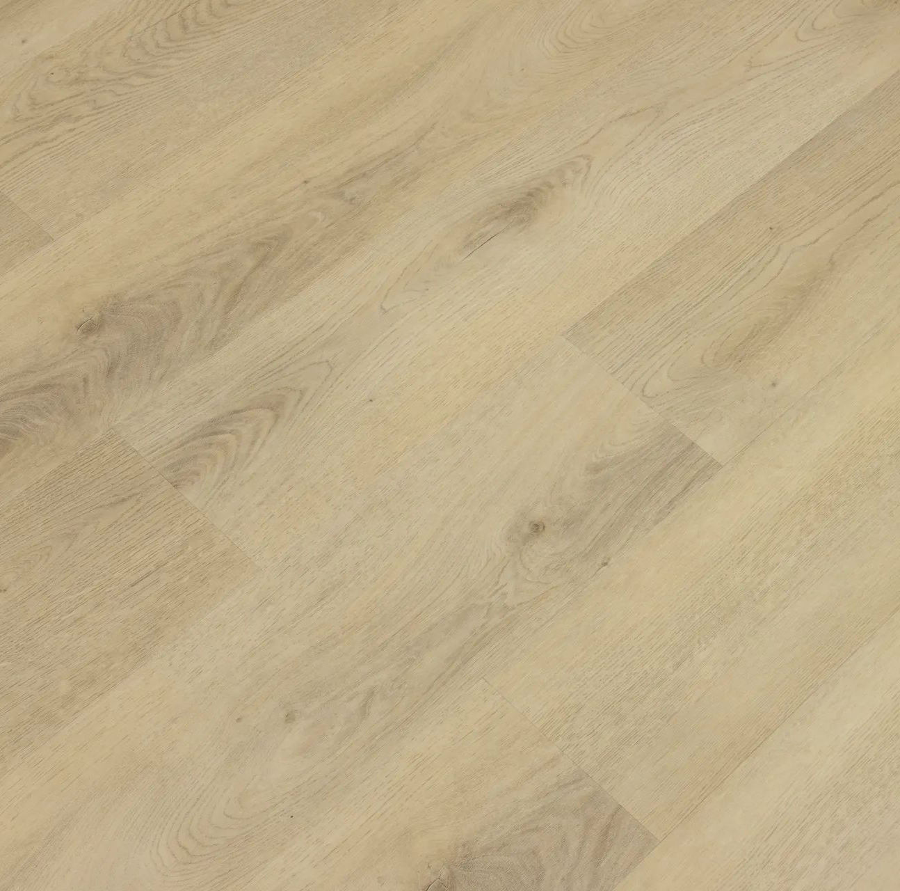 สีดำสีกากี