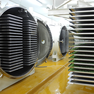 Prix d'usine - Lyophilisateur sous vide LTDG-100 avec compresseur Bitzer et garantie de 5 ans pour les usines alimentaires - Product Image 5